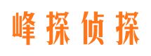 北辰市婚外情调查